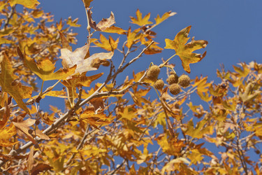 Similar image 5546658