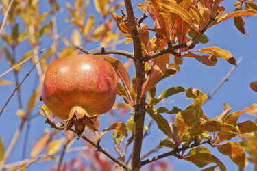 Similar image 5546659