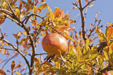 Similar image 5546661