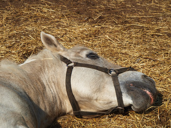 Similar image 5546737