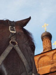 Similar image 5546738