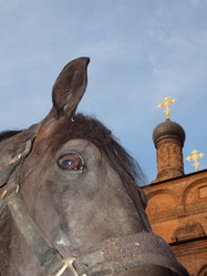 Similar image 5546740