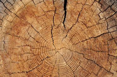 Similar image 5546744