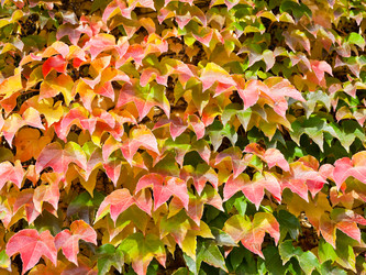 Similar image 5546752