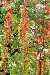 Similar image 5546754