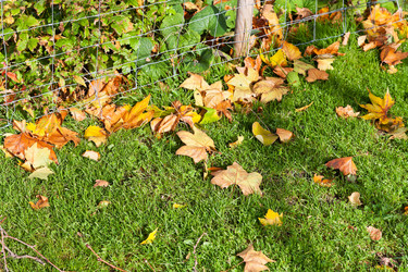 Similar image 5546756