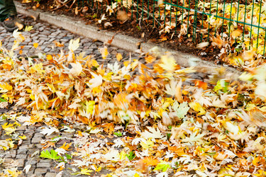 Similar image 5546777