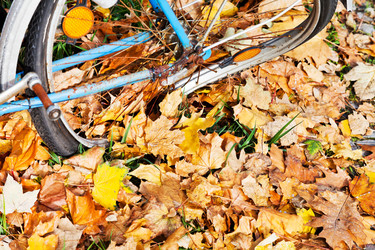 Similar image 5546786