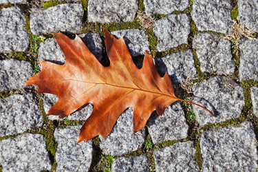 Similar image 5546792