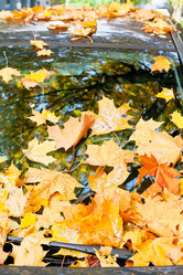 Similar image 5546823