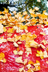 Similar image 5546827