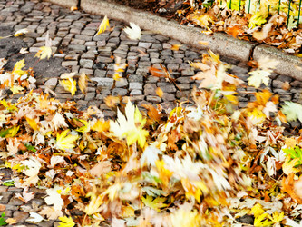 Similar image 5546832