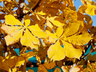 Similar image 5546903