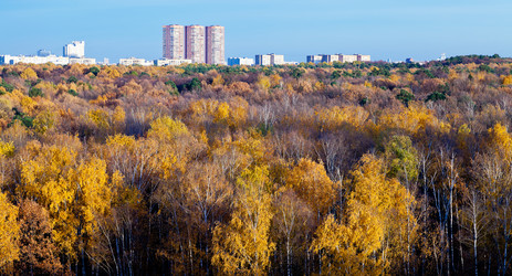 Similar image 5546910