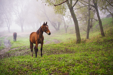 Similar image 5547131