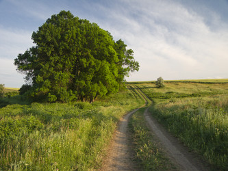 Similar image 5547136