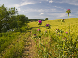 Similar image 5547137