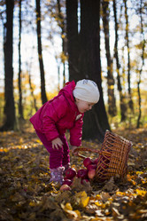 Similar image 5547159