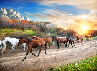 Similar image 5547179