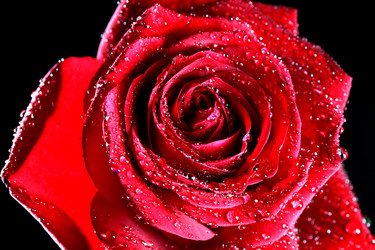 Similar image 5547186