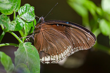 Similar image 5547194