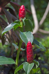 Similar image 5547202