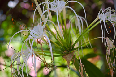 Similar image 5547213