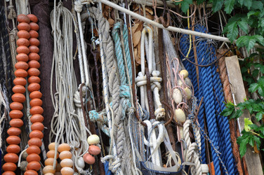 Similar image 5547263