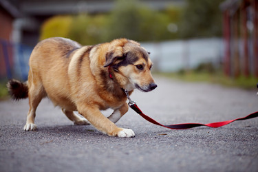 Similar image 5547282