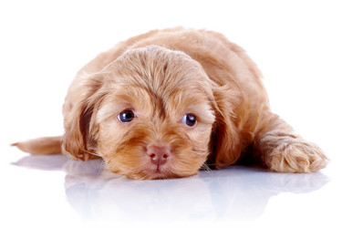 Similar image 5547288