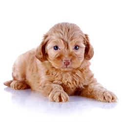 Similar image 5547289