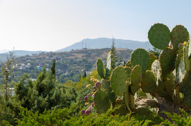 Similar image 5547312