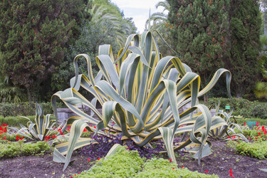 Similar image 5547379