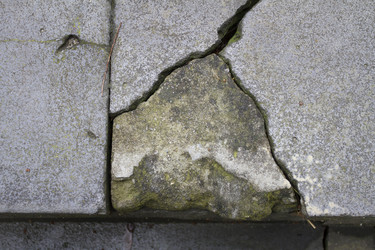 Similar image 5547380