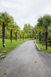 Similar image 5547381