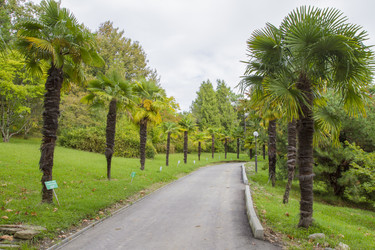 Similar image 5547382