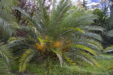 Similar image 5547384