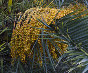 Similar image 5547387