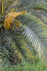 Similar image 5547389