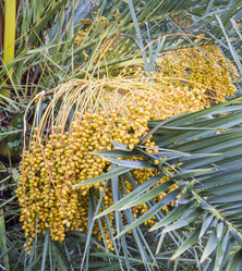 Similar image 5547390