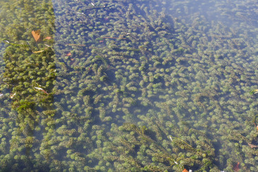 Similar image 5547396