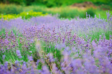 Similar image 5547426