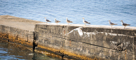 Similar image 5547428