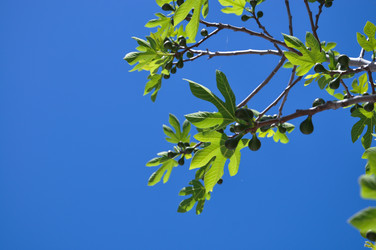 Similar image 5547429