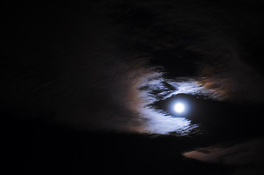 Similar image 5547430