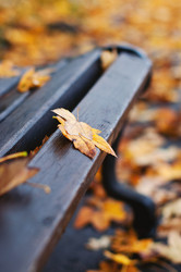 Similar image 5547431