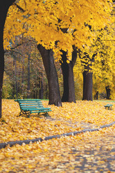 Similar image 5547432