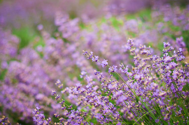 Similar image 5547434