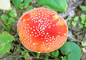 Similar image 5547491