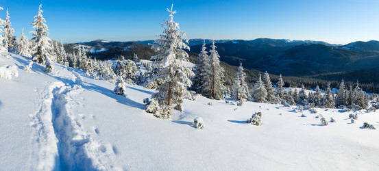 Similar image 5547554